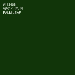 #113408 - Palm Leaf Color Image